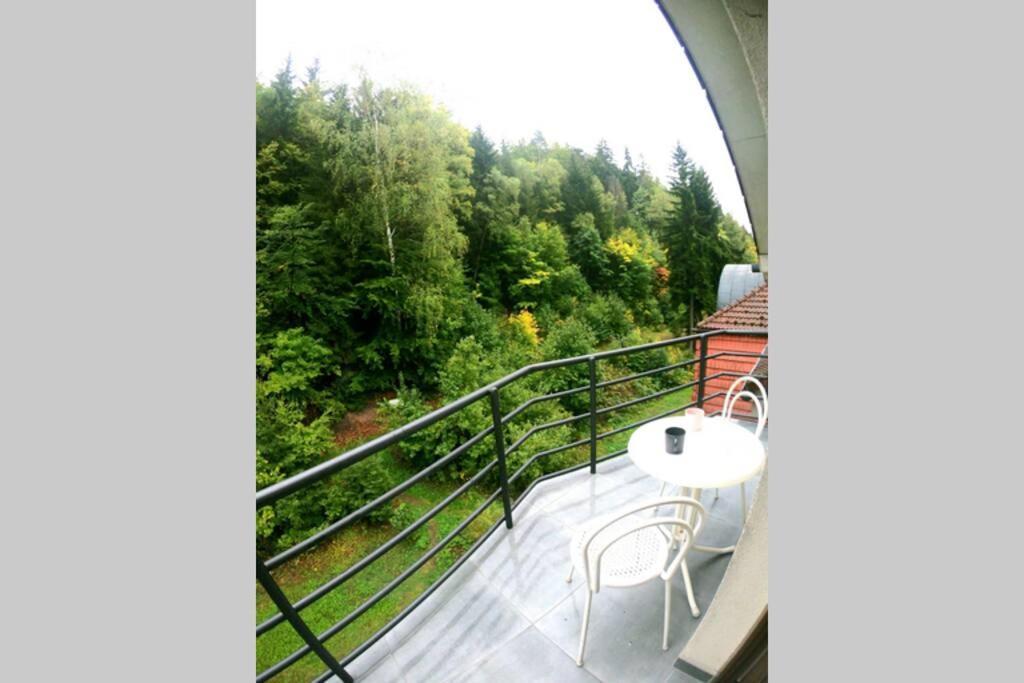 The Mountain Loft Klinovec - With Infrasauna Jachymov Exterior photo