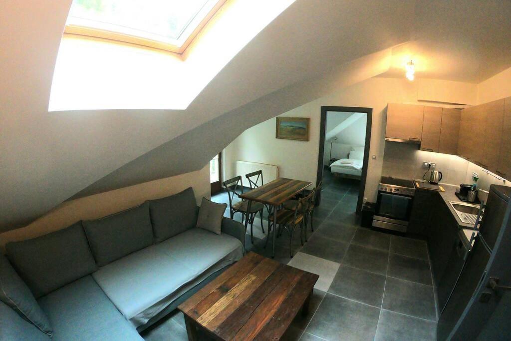 The Mountain Loft Klinovec - With Infrasauna Jachymov Exterior photo