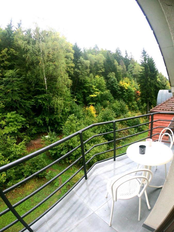 The Mountain Loft Klinovec - With Infrasauna Jachymov Exterior photo